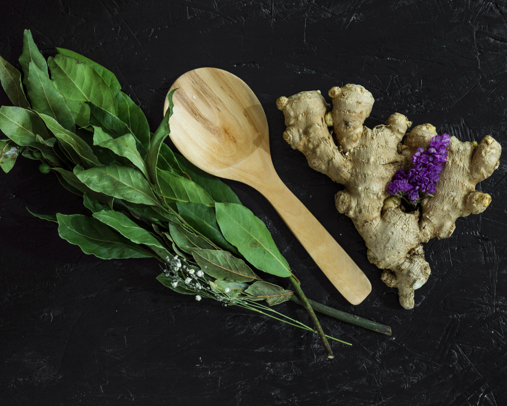 Cúrcuma, hortelã e gengibre: plantas simples que estão conquistando a ciência e podem transformar sua saúde.